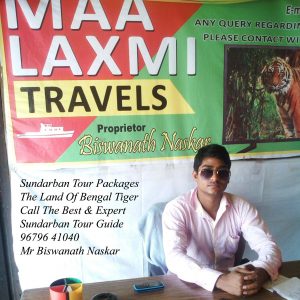 Sundarban trip cost