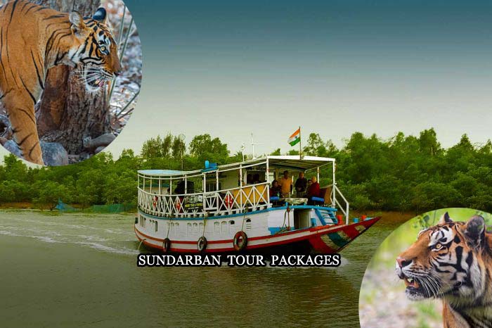 Sundarban Tour Packages