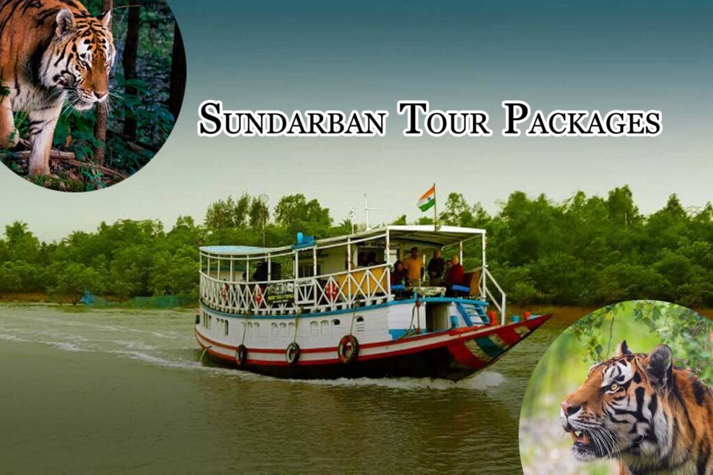 Sundarban Trip from Kolkata