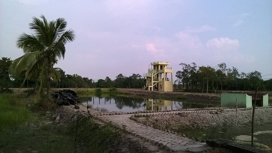 Netidhopani Watch Tower