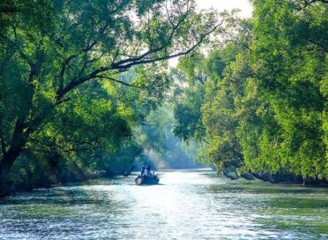 Tourist Places In Sundarban