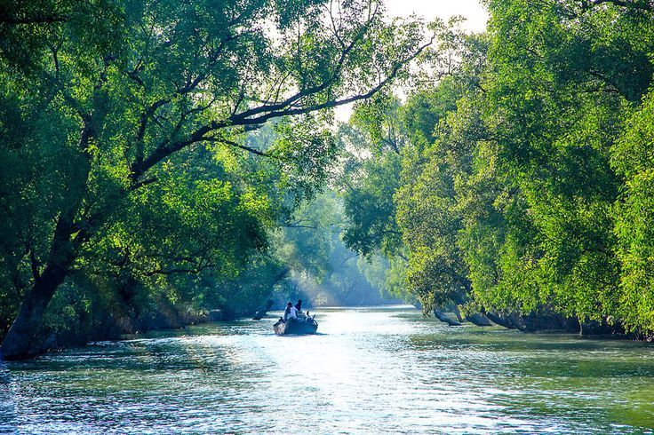 Best Tourist Places In Sundarban