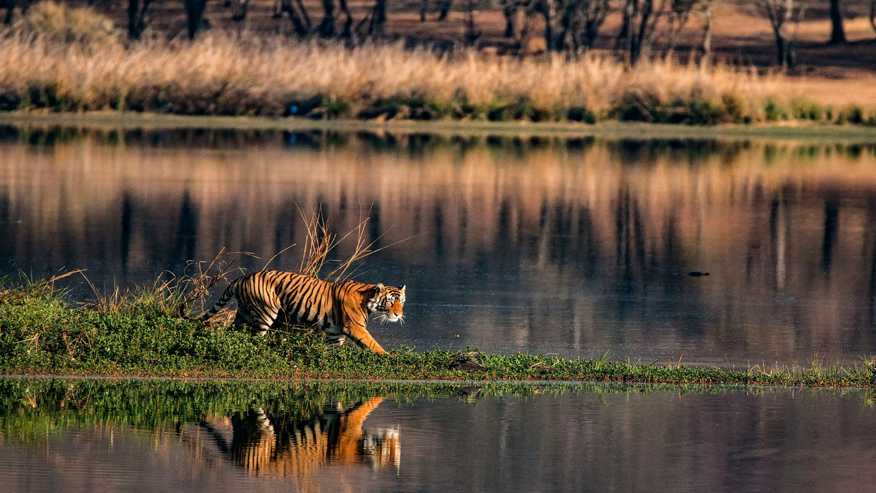 Is Sundarbans Worth Visiting?