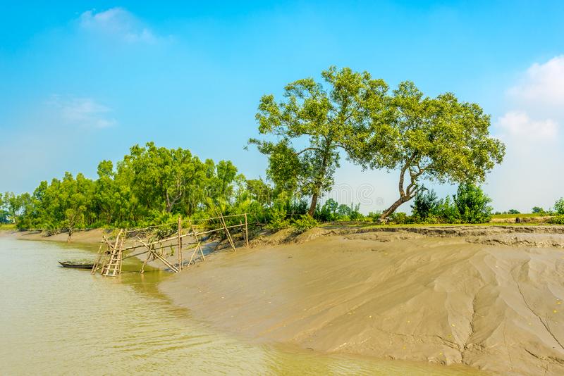 How many days are enough for Sundarban Tour?